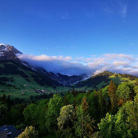 FeWo Fernsicht Crystal Adelboden Exterior foto