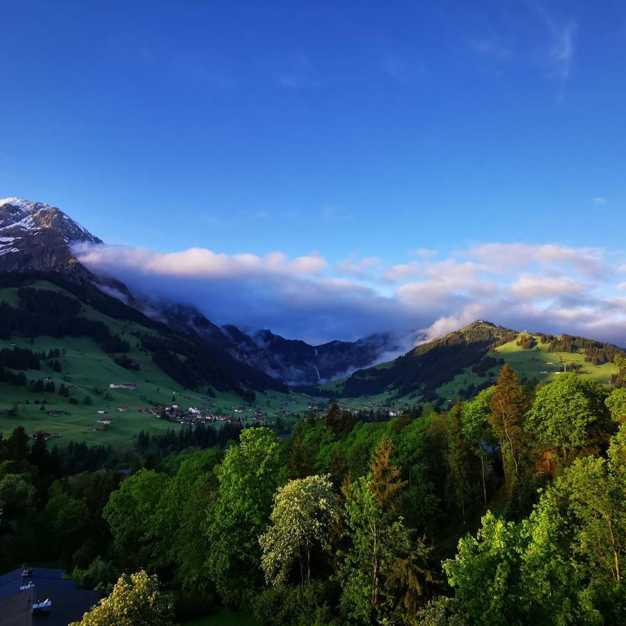 FeWo Fernsicht Crystal Adelboden Exterior foto