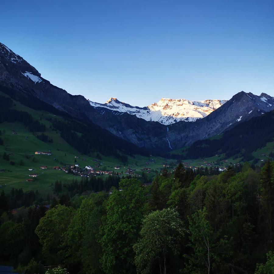 FeWo Fernsicht Crystal Adelboden Exterior foto